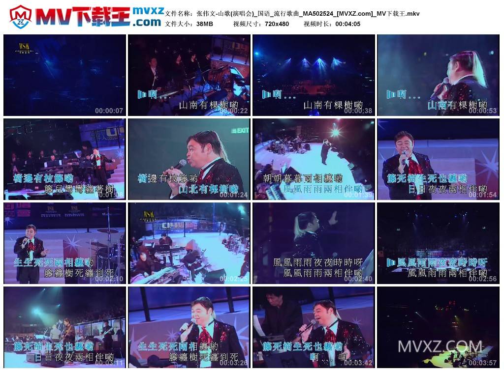 张伟文-山歌(演唱会)_国语_流行歌曲_MA502524